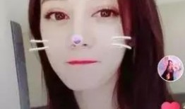 网红爆料某明星视频,网红爆料背后的真相揭晓